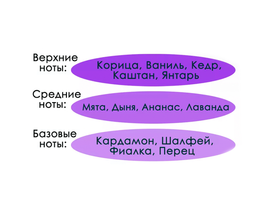 Туалетная вода GOURMAN №1 с феромонами (100 мл), изображение 3