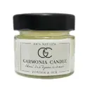Массажная свеча ароматическая с феромонами GARMONIA CANDLE (100 мл)